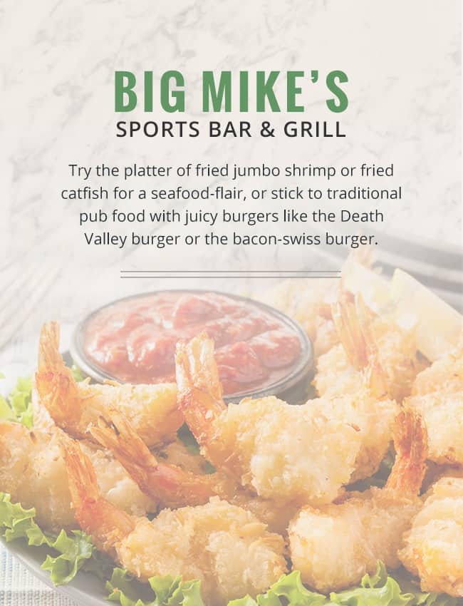 big mikes bar grill